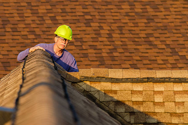 Best Roof Restoration Services  in Parkston, SD